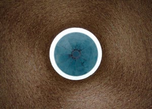 Domain name dispute / domain name registration / domain name search / domain name watching / domain name monitoring